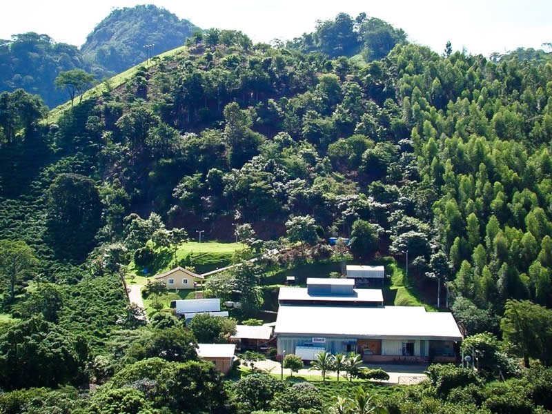 Floresta Viva